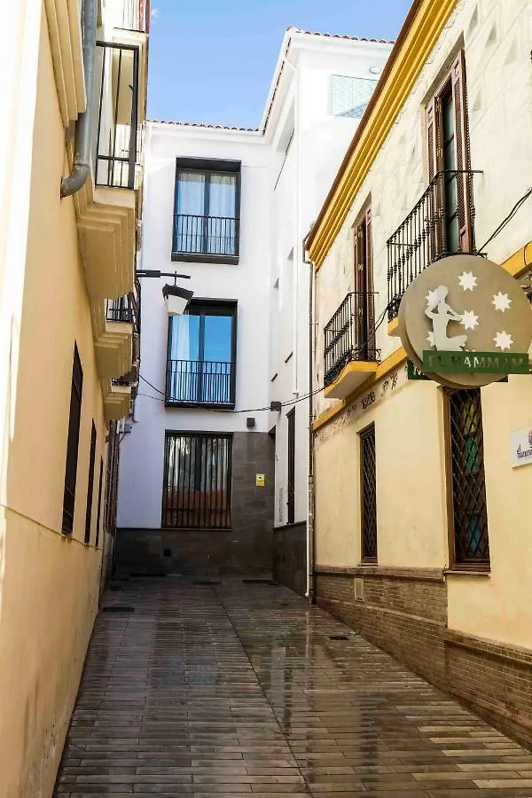 Malaga Centrico Picasso Appartement Spanje